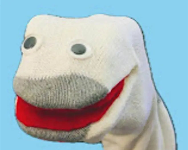 Socko Puppet